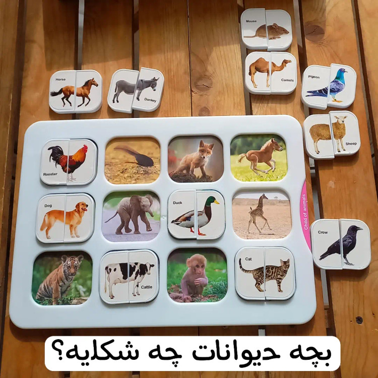 هوش چین پیشرفته ۲تکه