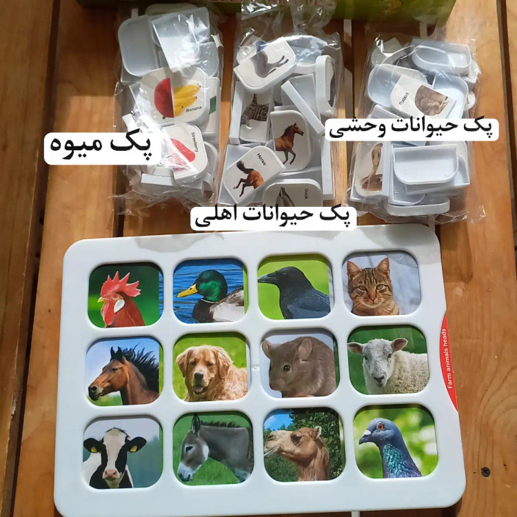 هوش چین پیشرفته ۲تکه