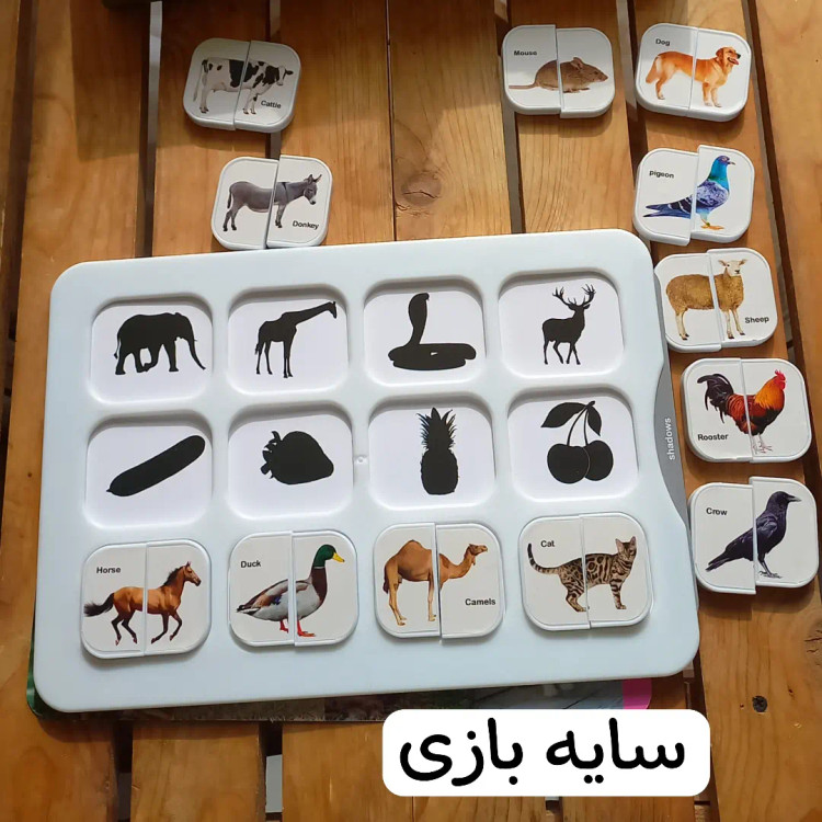 هوش چین پیشرفته ۲تکه