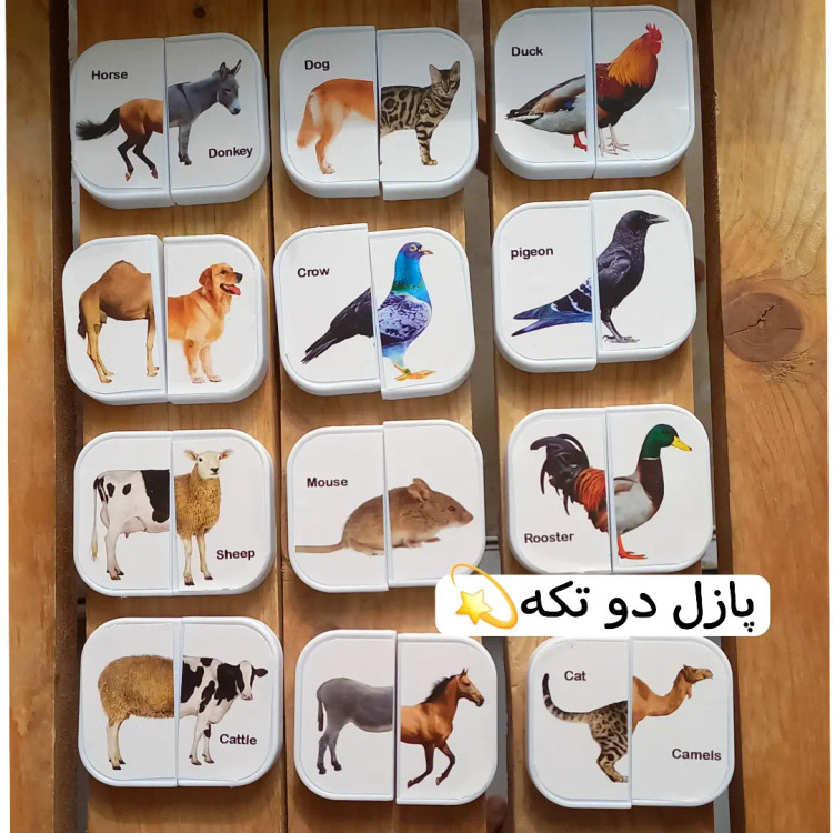 هوش چین پیشرفته ۲تکه