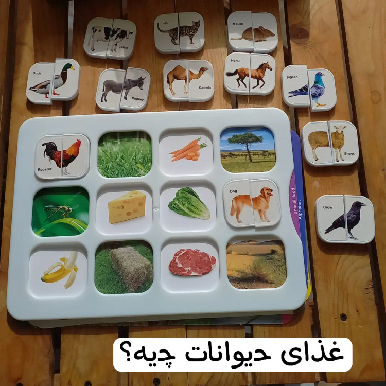 هوش چین پیشرفته ۲تکه