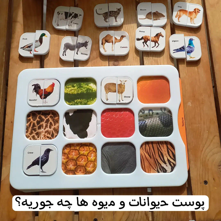 هوش چین پیشرفته ۲تکه